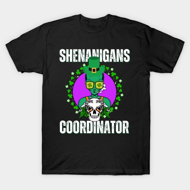 Shenanigans Coordinator - Funny St Patricks Say T-Shirt by theworthyquote